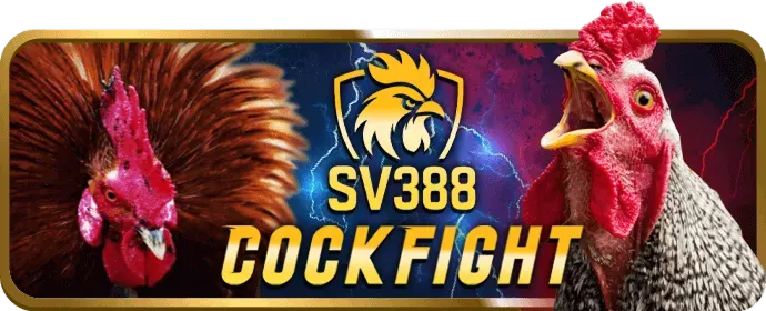 Chương Trình VIP V7SB WIN
